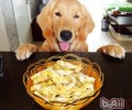 狗狗零食归类及选择攻略大全