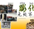 彭化无所不在