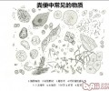 小狗到医院门诊做排泄物查验的重要性