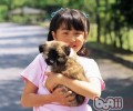 抱小狗的常见问题