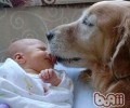 孕妈妈和小宠物交往关键点