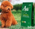 教你从各种各样视角去了解犬粮