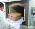 怎样妥善处理因传染性疾病身亡的小狗