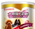 小狗究竟是否可以使喝纯牛奶
