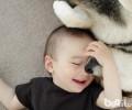 养宠物家中的小孩是不是更健康