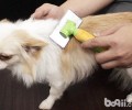 让小狗避开裂头蚴狗的专用工具有什么