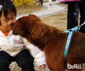 小孩养宠物要培养优良的生活习惯