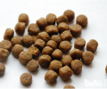 犬粮的类型区划及特性剖析