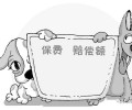 小宠物保险有哪些