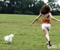 人遛猫遛狗還是狗遛人？