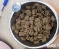 泡犬粮的方式及常见问题有什么？