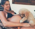 怀孕期能不能养宠物，怀孕期养宠物的常见问题