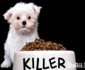 犬粮如何存储 犬粮存储方式详细介绍
