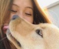造成狗狗口臭的缘故都有哪些？