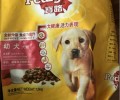 哪一种犬粮合适喂养幼仔？合适喂养幼狗的犬粮有什么？