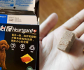 幼犬驱虫 | 那些你不得不了解的事！