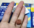 狗狗驱虫方法，你或许还不知道