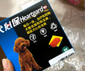 这些狗狗驱虫大误区 铲屎官你中了几个？