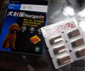 狗狗吐逆怎么办？铲屎官们莫慌！