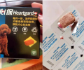 狗狗拉肚子吃什么药？快快保藏！