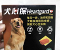 心丝虫可防可预？狗狗驱虫药选择要慎重