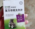 幼犬驱虫常识大科普 铲屎官必看