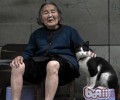 猫的发育阶段与人的年纪比照