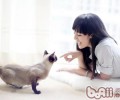 猫咪难接近，获取猫咪信赖有妙法
