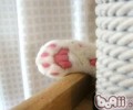 猫咪的汗腺在哪里？