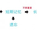 猫咪的学习才能到底有多惊人