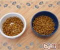 优异猫粮的营养成分剖析