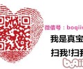 新旧宠物猫共处应留意四点