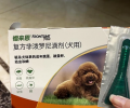小狗拉肚子吃什么药比较好？宠物医师专业引荐