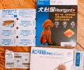 狗狗吐逆怎么回事？狗妈的驱虫心得