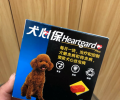 幼犬体内驱虫哪个好？安全健康才是王道