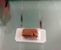 小狗吐逆是什么原因？搞清楚再医治！
