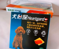小狗吐逆是什么原因？搞清楚再医治！