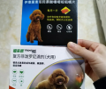 小狗吐逆是什么原因？铲屎官们必定要知道！