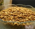 网上订货猫粮小贴士