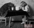 关于猫咪要定时吃体内驱虫药你怎么看