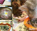 【美食攻略】克己猫咪牛肉鸡蛋饭