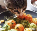 【美食攻略】克己猫咪双色肉丸