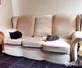 在家怎么打造爱猫适合生活环境？