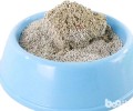 猫砂挑选时要注意气味
