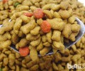 猫粮品牌的一些介绍