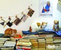 猫咪图书馆：既能借书，也能借猫？
