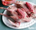 【美食攻略】克己猫咪的鸽子牛肉南瓜饭