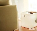 新式猫砂盆：猫咪的奢华马桶？