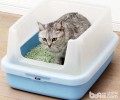 你的猫砂盆放对当地了吗
