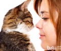 帮猫咪节食能够让你们更密切？